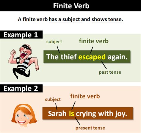 fuitine|Definition & Detailed Explanation